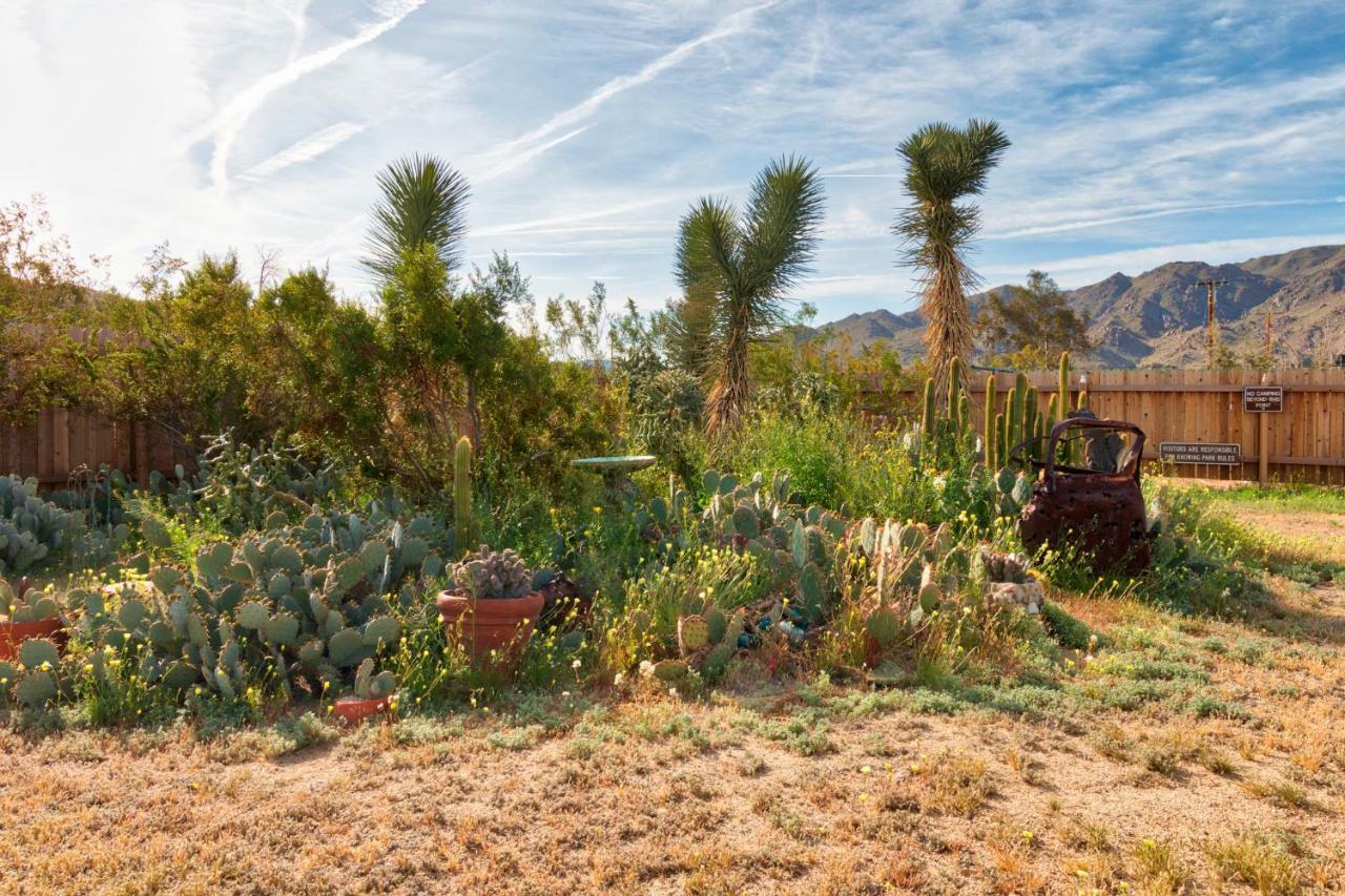 Villa Cactus Adobe Twentynine Palms Esterno foto